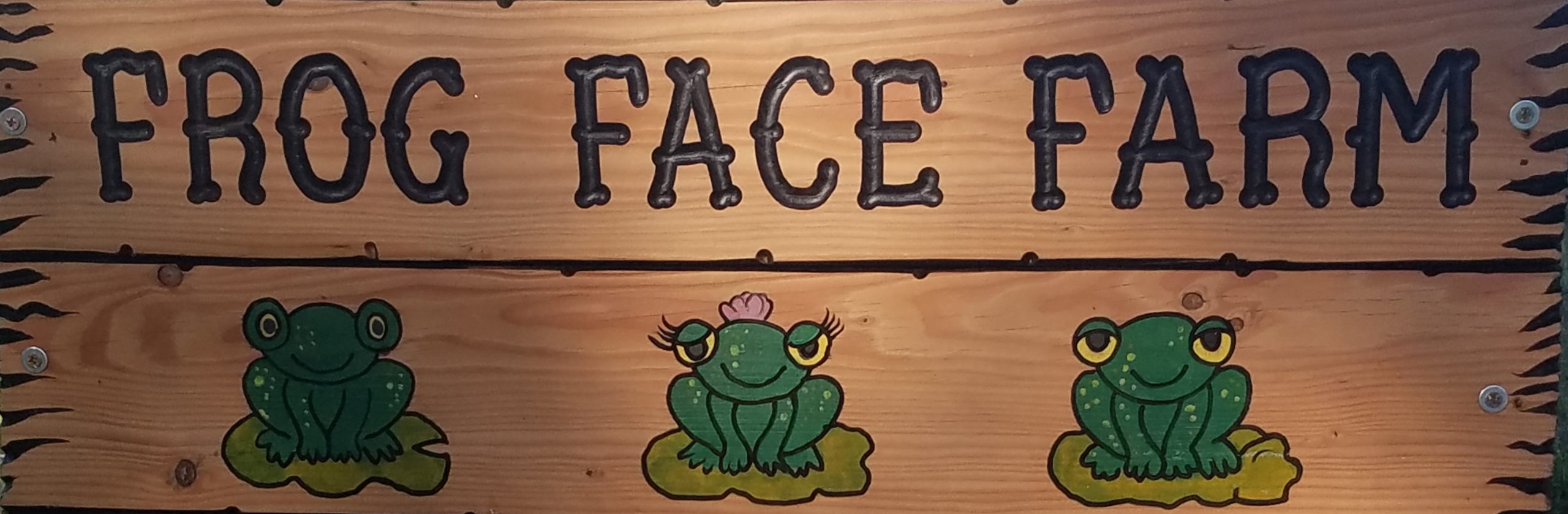 Frog Face Farm